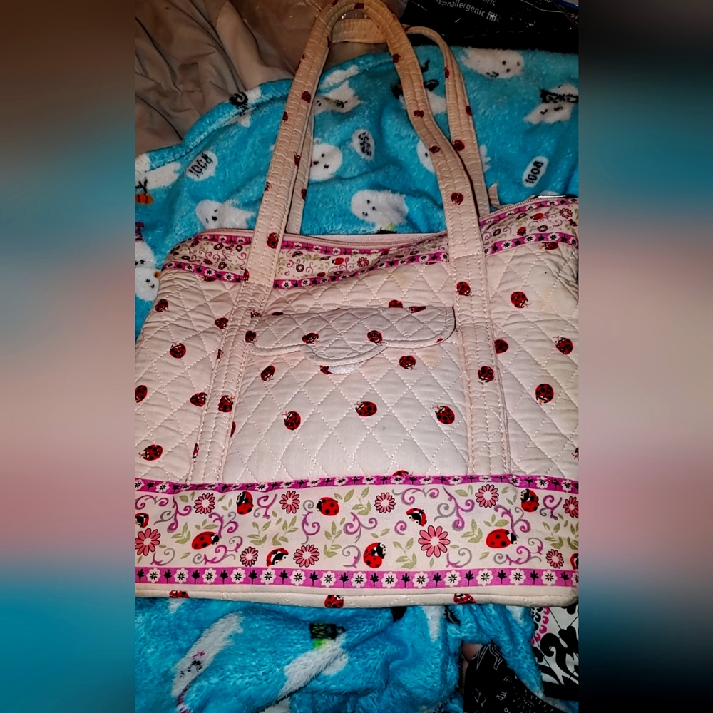 Lady bug purse